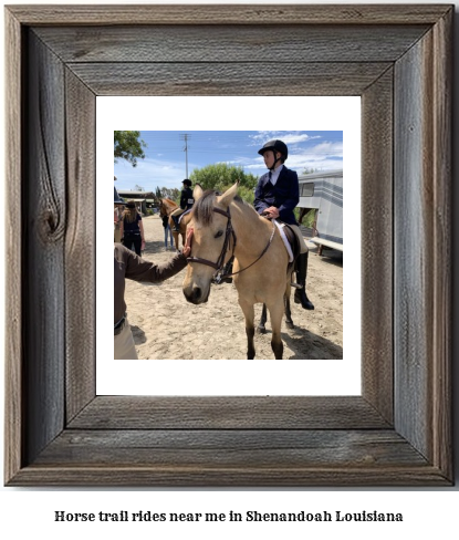 horse trail rides near me in Shenandoah, Louisiana